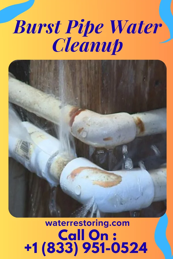 Burst Pipe Water Cleanup in King City, OR