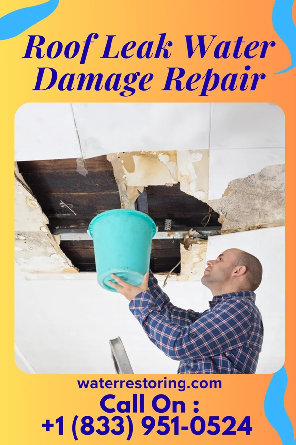 Roof Leak Water Damage Repair in King City, OR